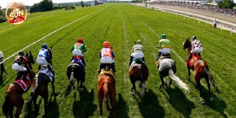 Sunwin cung cấp hệ thống kho kéo cá cược đỉnh cao.